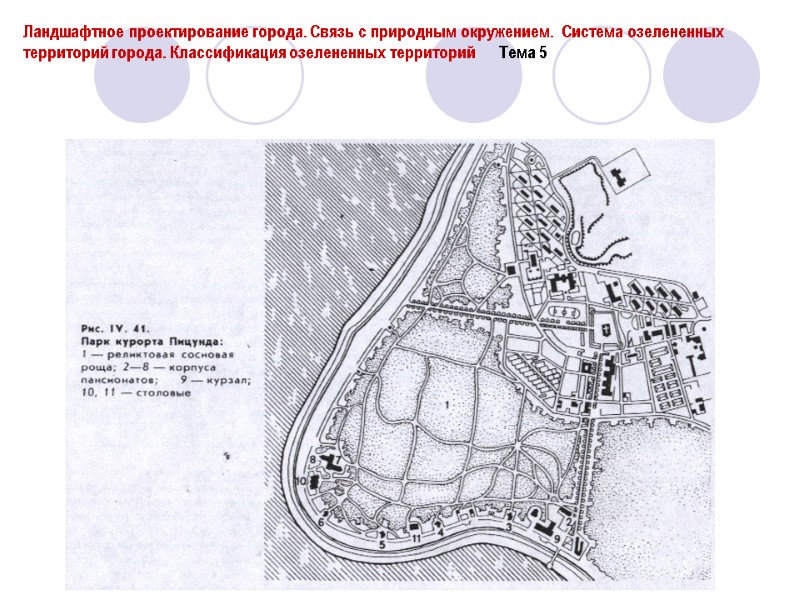 Ландшафтное проектирование города. Связь с природным окружением.  Система озелененных территорий города. Классификация озелененных